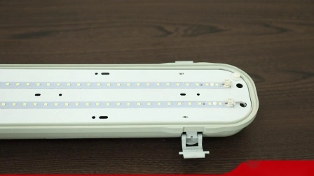 TUV/CE/CB 승인 IP65 방수 조명, 3중 방수 LED 조명, 3중 방수 LED 조명, 방습 조명, 방수 LED 조명, 비바람에 견디는 조명